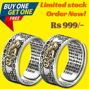 Feng Shui Pixiu Wealth & Protection Ring -( Pack of 2 )